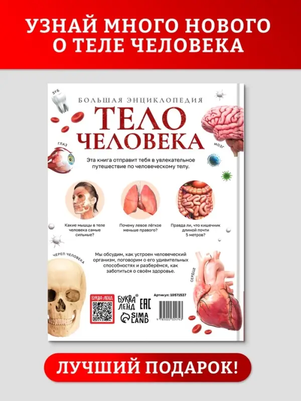 Энциклопедия в твёрдом переплёте &laquo;Строение тела человека&raquo;, 128 стр.
