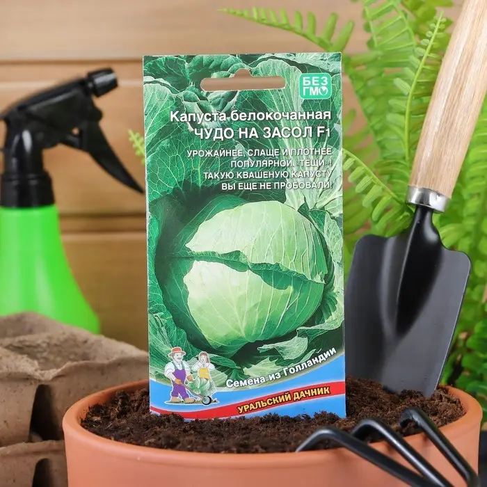Семена Капусты белокочанной Семена Капусты белокочанной "Чудо на Засол" F1 для квашения и засола,кочан до 4 кг, 0,3 г