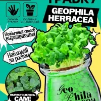 Набор для опытов &laquo;Выращиваем травку&raquo;, своими руками, зеленый