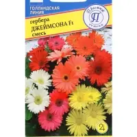 Семена комнатных цветов Гербера &laquo;Джеймсона&raquo;, F1, 5 шт., смесь, &laquo;Престиж семена&raquo;