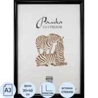 Рамка пластиковая А3 черного цвета 508