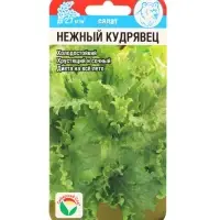Семена Салат "Нежный кудрявец", 0,5 г