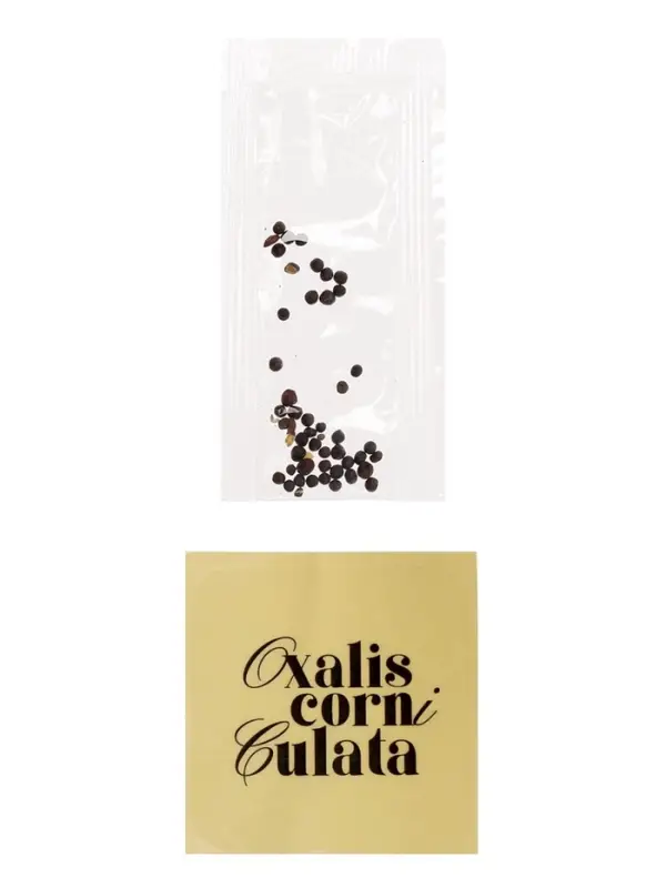 Набор для опытов &laquo;Выращиваем травку&raquo;, своими руками, голубой