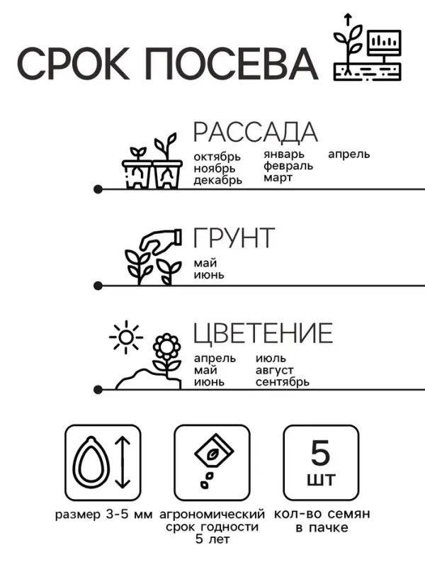 Семена цветов Пеларгония "Арба", Евро, 5 шт
