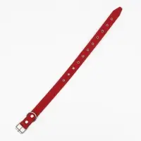 Ошейник комбинированный, безразмерный, 70&times;3.5 см, ОШ 25-60 см, кожа, брезент, красный
