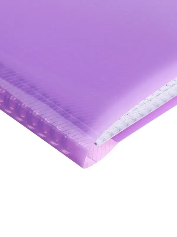 Тетрадь-папка А4, 80 листов в клетку Hatber FolderBook, пластиковая обложка, на закрытом гребне, с клапаном на резинке, фиолетовая