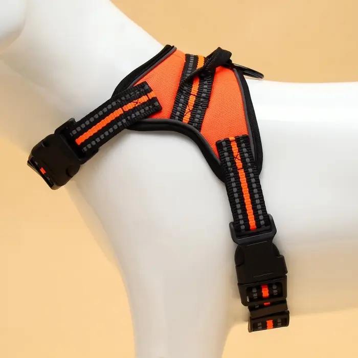 Шлейка улучшенная К7, размер S, ОГ 44-55 см, вес 5-9 кг, мягкая, светоотражающая, оранжевая