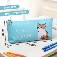Пенал школьный на молнии Calligrata &laquo;Котик&raquo;, 1 отделение, плоский, МИКС