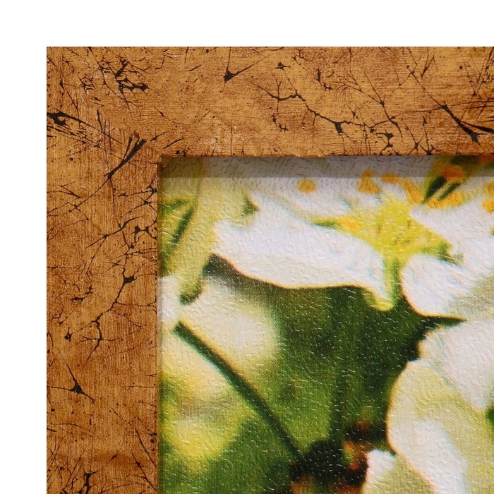 Картина "Два Лебедя" 66х106см рамка МИКС