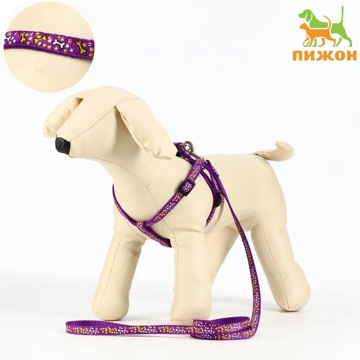 Комплект  Комплект "Звёздные косточки", ширина 1 см, поводок 120 см, шлейка 23-35 см, фиолетовый