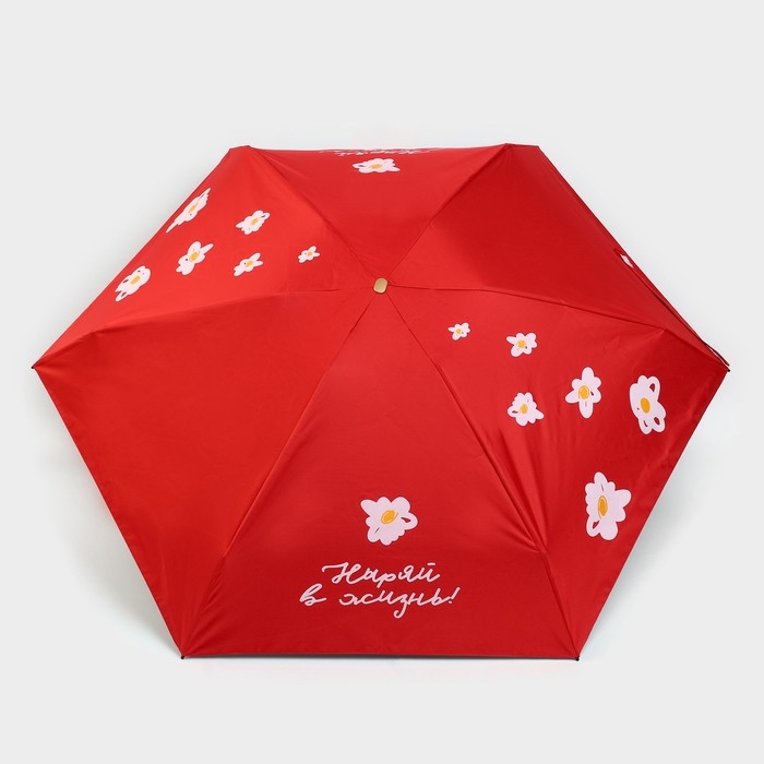 Зонт женский «Ныряй в жизнь», 6 спиц, складывается в размер телефона. Зонт женский «Ныряй в жизнь», 6 спиц, складывается в размер телефона.