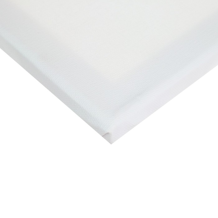 Холст на подрамнике, хлопок 100%, 1,6 х 80 х 90 см, акриловый грунт, среднезернистый, 380 г/м² Холст на подрамнике, хлопок 100%, 1,6 х 80 х 90 см, акриловый грунт, среднезернистый, 380 г/м²