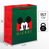 Пакет ламинированный вертикальный, Mickey Микки Маус, 23 х 27 х 11 см