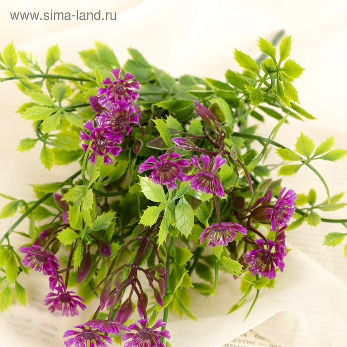 Букет Букет "Алиссум с остролистом" 29 см, микс