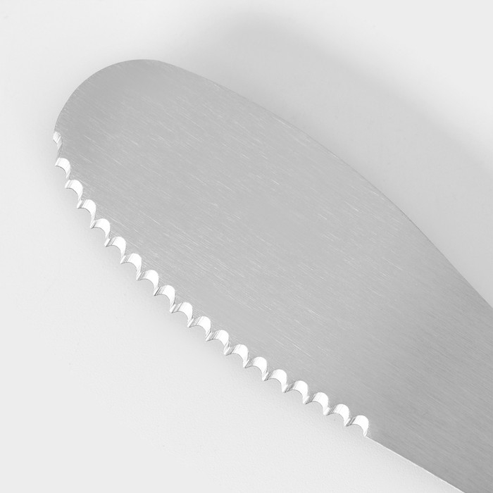 Нож для масла из нержавеющей стали Доляна Lime, 20&times;3 см, цвет чёрно-зелёный