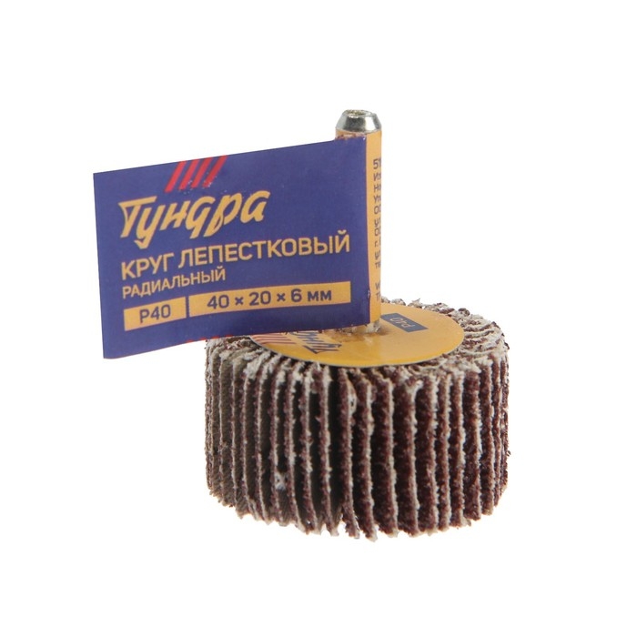 Круг лепестковый радиальный ТУНДРА, 40 х 20 х 6 мм, Р40 Круг лепестковый радиальный ТУНДРА, 40 х 20 х 6 мм, Р40