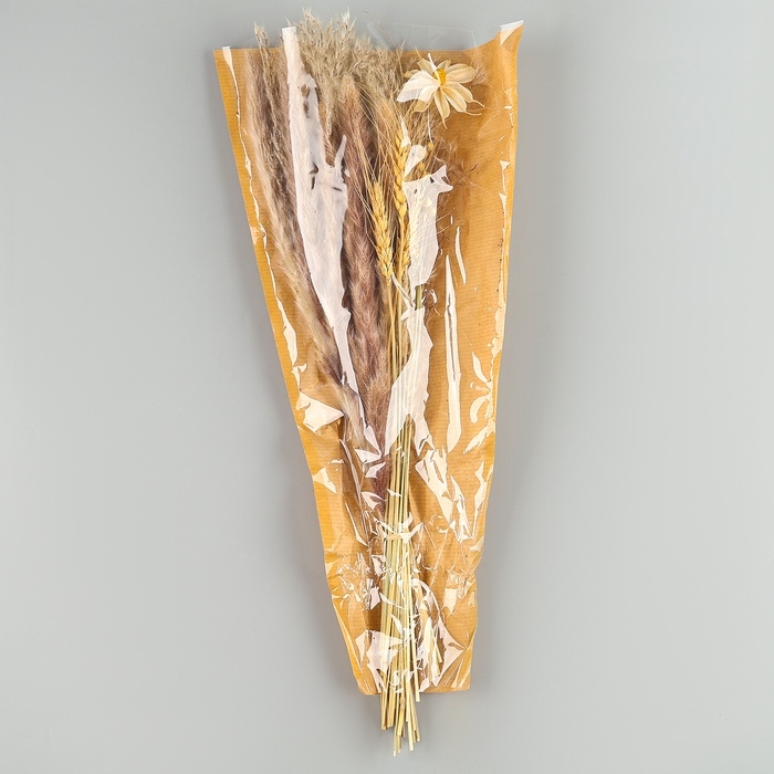 Сухоцветы «Нежность», набор из 4 видов, 48 × 16 × 6 см Сухоцветы «Нежность», набор из 4 видов, 48 × 16 × 6 см