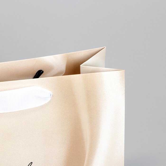 Пакет подарочный, упаковка, «Present», 22 х 17.5 х 8 см Пакет подарочный, упаковка, «Present», 22 х 17.5 х 8 см