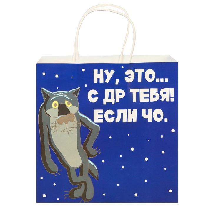 Пакет подарочный Пакет подарочный "С Др тебя если чо" 22х22х11 см, крафт, упаковка, Жил-был Пес