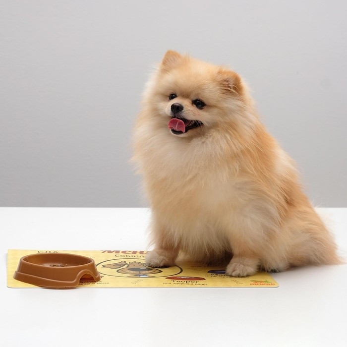 Коврик под миску  Коврик под миску "Пижон" с нескользящим основанием, 43 х 28 см, "Меню собачье"