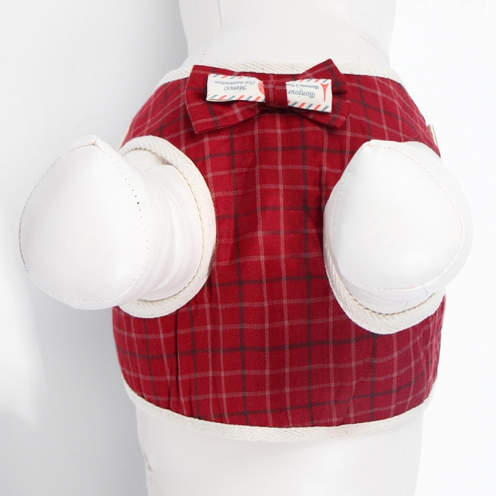 Комплект с мягкой шлейкой  Комплект с мягкой шлейкой "Клетки", размер S, поводок, 120 х 1,5 см, ОГ 28-62 см, красный