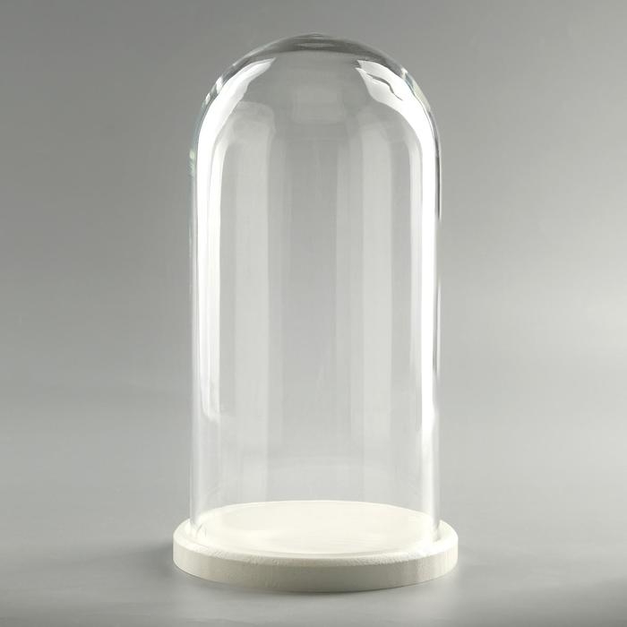 Стеклянный купол-клош на деревянной подставке Стеклянный купол-клош на деревянной подставке "Венсан - 1", 30х15 см, белый