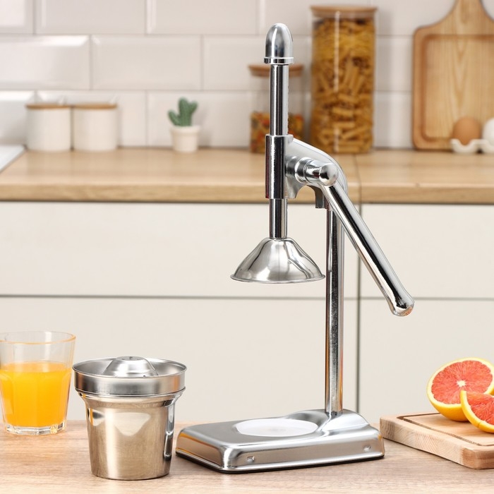 Соковыжималка механическая Доляна Fruits, 20×14,5×37 см Соковыжималка механическая Доляна Fruits, 20×14,5×37 см