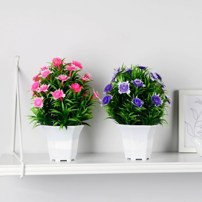 Бонсай в горшке Бонсай в горшке "Скабиоза" 11х21 см, микс