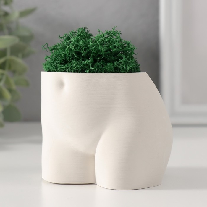 Сувенир  Сувенир "Невинный вид" со мхом высота 6,5см, ширина 8,5см белый (мох зелен. стабилиз)