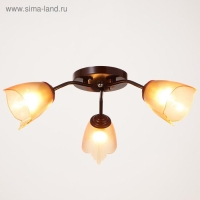 Люстра Оникс 3х15Вт E27 коричневый 50х50х15см BayerLux