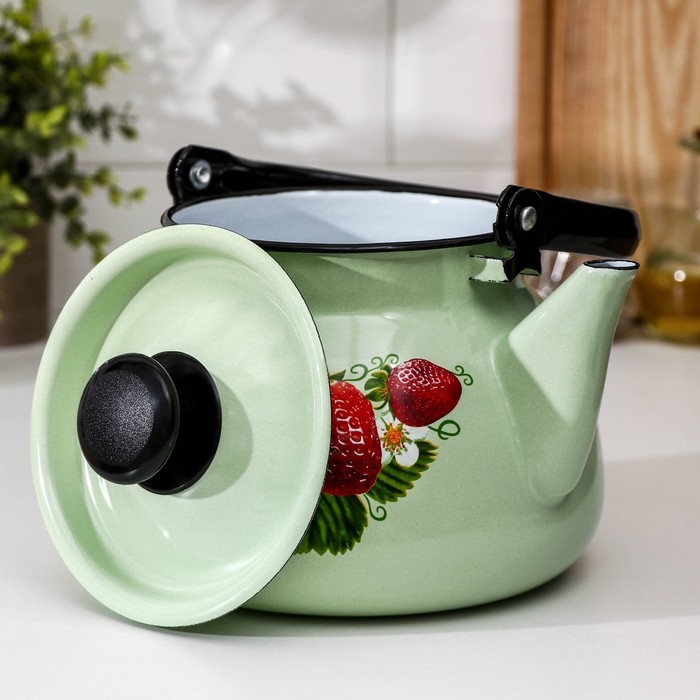 Чайник сферический, 3 л, индукция, деколь МИКС, цвет салатовый Чайник сферический, 3 л, индукция, деколь МИКС, цвет салатовый