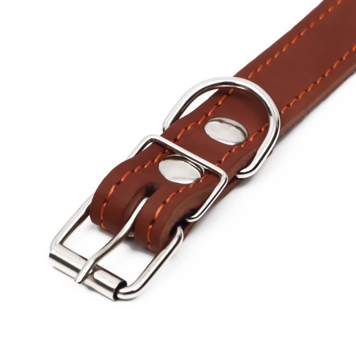 Ошейник кожаный на синтепоне, безразмерный, 54 х 2,5 см, ОШ 19-47 см, коричневый Ошейник кожаный на синтепоне, безразмерный, 54 х 2,5 см, ОШ 19-47 см, коричневый