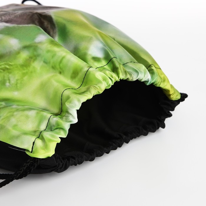 Мешок для обуви на шнурке, цвет зелёный Мешок для обуви на шнурке, цвет зелёный