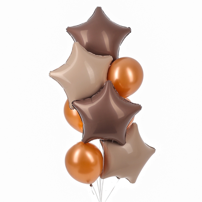 Набор шаров &laquo;Праздничный&raquo; фольга, латекс, цвет кофейный, 10 шт.