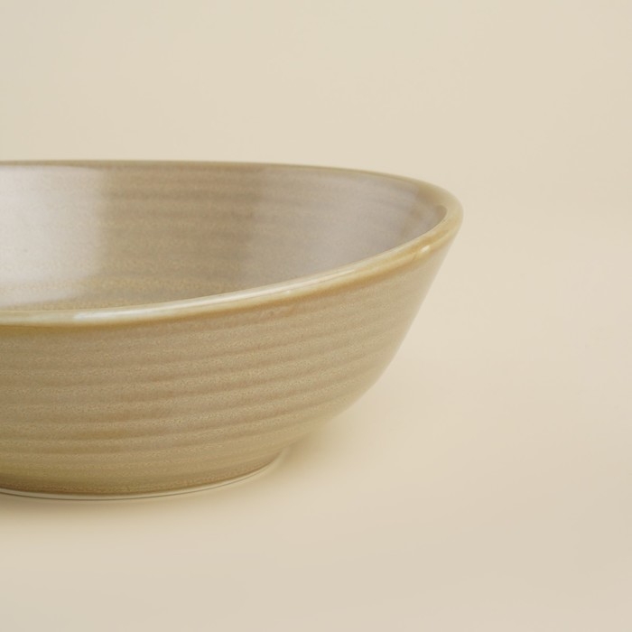 Салатник фарфоровый SL Home «Песчаный бриз», 290 мл, цвет бежевый Салатник фарфоровый SL Home «Песчаный бриз», 290 мл, цвет бежевый