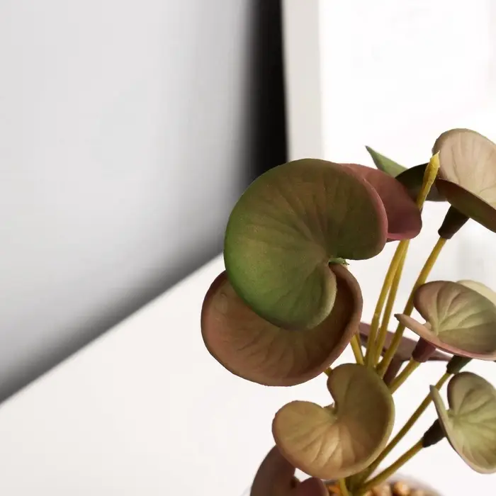 Искусственный цветок в горшке &laquo;Пеперомия люкс&raquo; (мягкий лист), 13&times;6 см, МИКС