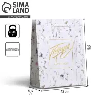 Пакет подарочный ламинированный, упаковка, Gift for you, S 12 х 15 х 5.5 см