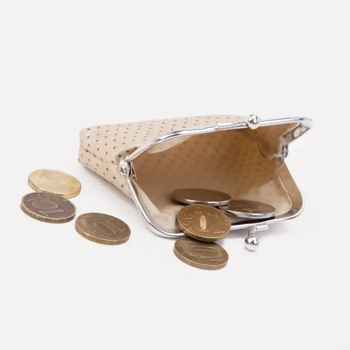 Кошелёк женский на фермуаре, цвет бежевый Кошелёк женский на фермуаре, цвет бежевый