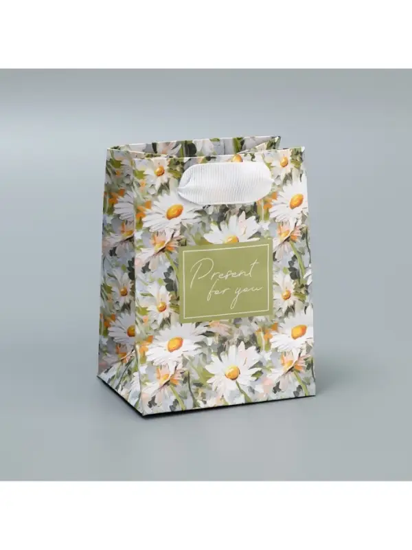 Пакет подарочный ламинированный, упаковка, Present, 9&times;12&times;6.5 см