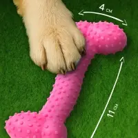 Жевательная игрушка для собак &laquo;Любимое лакомство&raquo;, 11&times;4 см, TPR, розовая