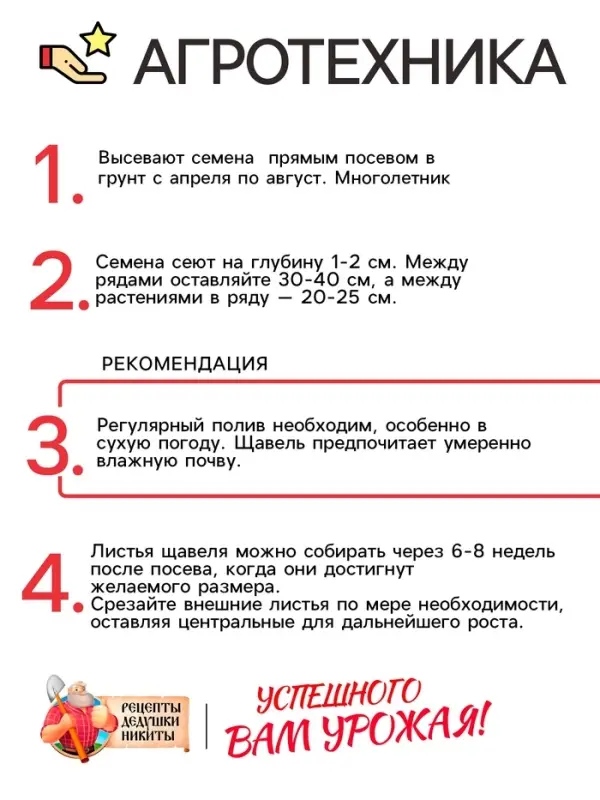 Семена Щавель "Широколистный", 1 г