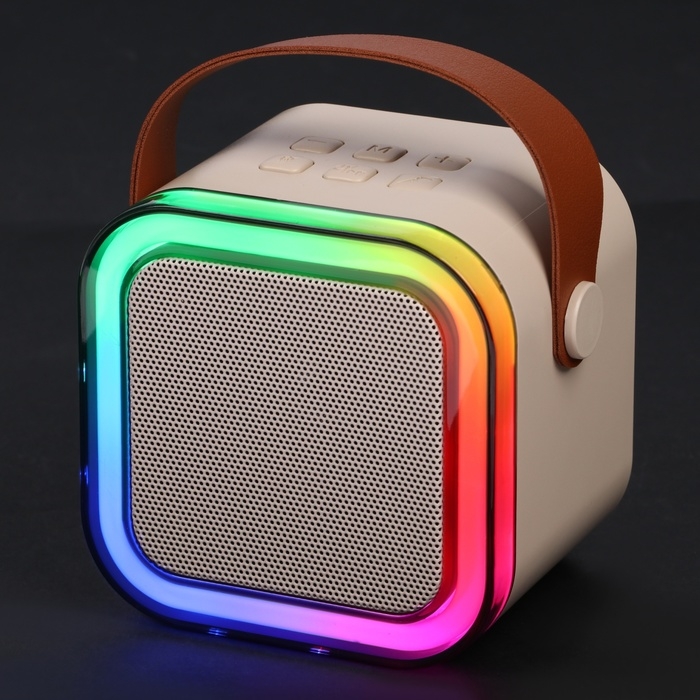 Мини караоке-система K12, 5 Вт, 2 микрофона, 800/400мАч, Jack 3.5, Type-С, USB, RGB,бежевая Мини караоке-система K12, 5 Вт, 2 микрофона, 800/400мАч, Jack 3.5, Type-С, USB, RGB,бежевая