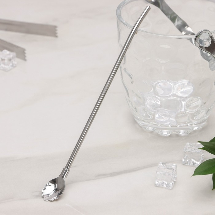 Ложка-трубочка для коктейля из нержавеющей стали «Ракушка», длина 21 см, цвет серебряный Ложка-трубочка для коктейля из нержавеющей стали «Ракушка», длина 21 см, цвет серебряный