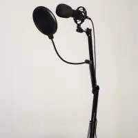 Микрофон конденсаторный Music Life черный: кабель, ветрозащита, стойка