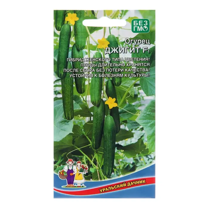 Семена Огурец Семена Огурец "Джигит - салатного типа", 10 шт