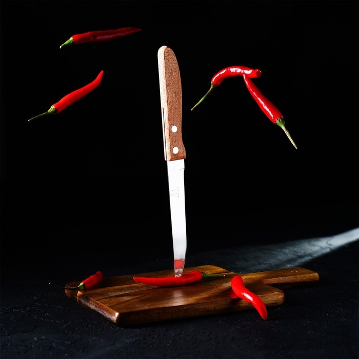 Нож кухонный Доляна «Эльбрус», лезвие 11,5 см Нож кухонный Доляна «Эльбрус», лезвие 11,5 см