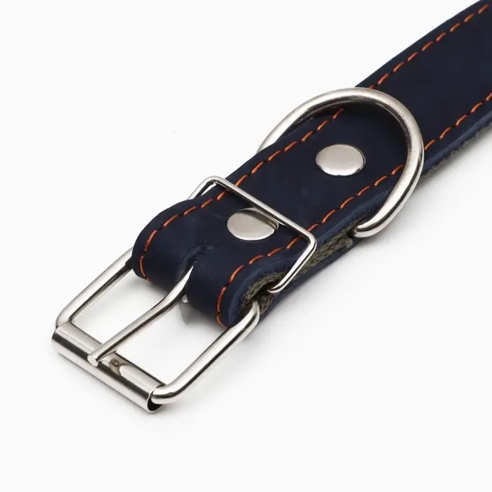 Ошейник комбинированный, безразмерный, 70&times;3.5 см, ОШ 25-60 см, кожа, брезент, синий