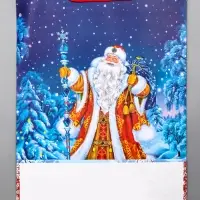 Пакет подарочный новогодний ламинированный, «Дед Мороз» , 33×10×42.5 см Пакет подарочный новогодний ламинированный, «Дед Мороз» , 33×10×42.5 см