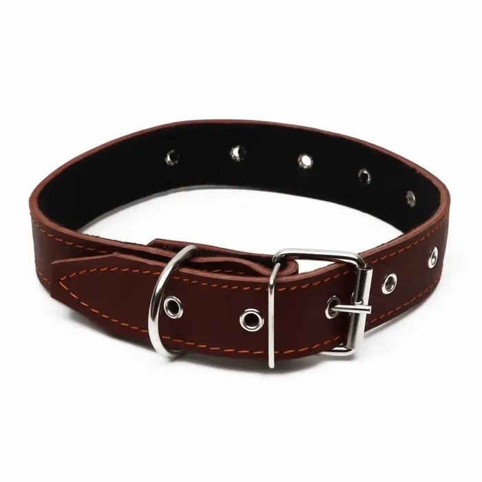 Ошейник кожаный на синтепоне, безразмерный, 71&times;3.5 см, ОШ 29-62 см, коричневый
