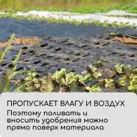 Агроткань застилочная, с разметкой, 5&times;1.6 м, плотность 100 г/м&sup2;, полипропилен, Greengo, Эконом 50%